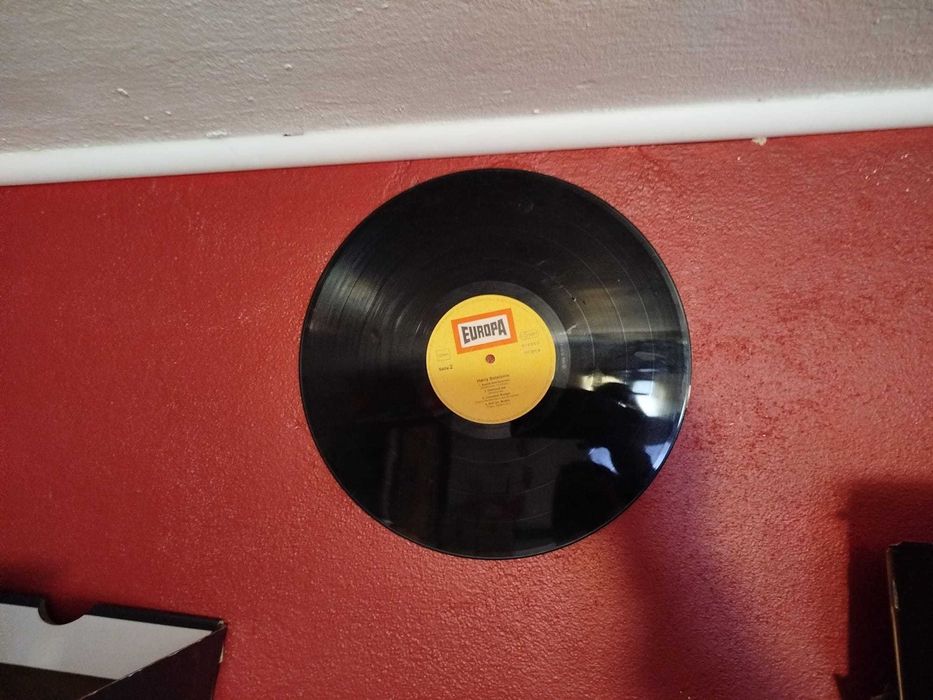 Pack 25 discuri vinil  LP - decorative