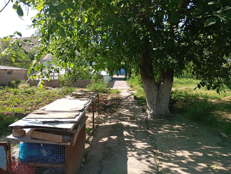 Hovli uchaska Toshkent vil. Bustonliq tum.Dumaloq qishlogi