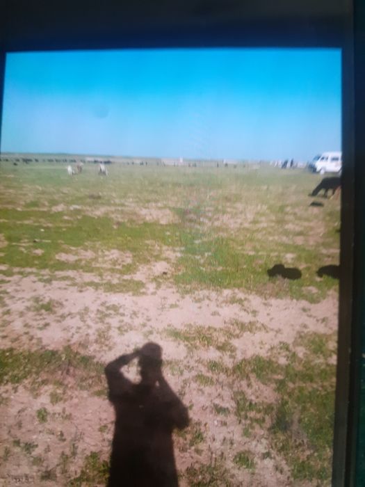 6-sotixli yer sotiladi