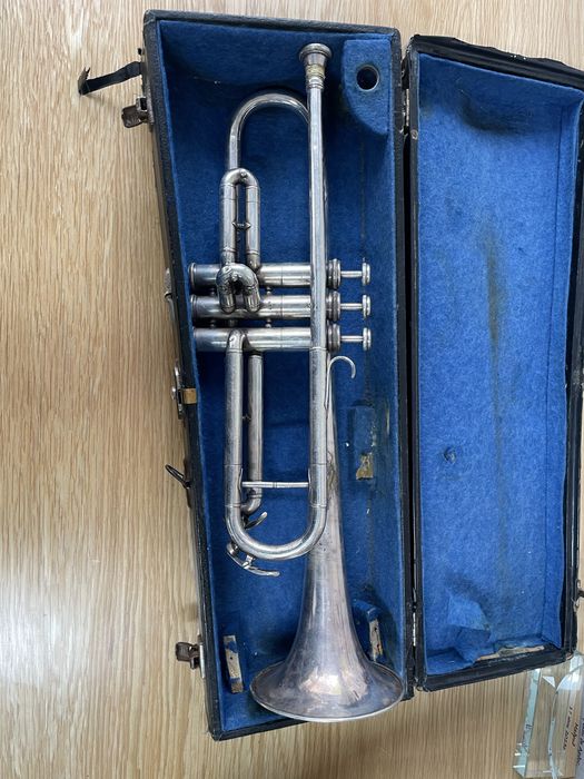 Сребрист тромпет НЕ СВИРИ