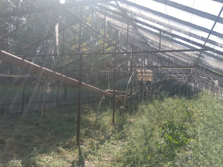 Сдам в аренду теплицу