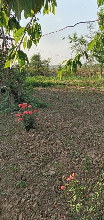 23 sotxli yer sotiladi