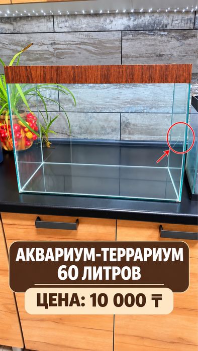Аквариум - террариум