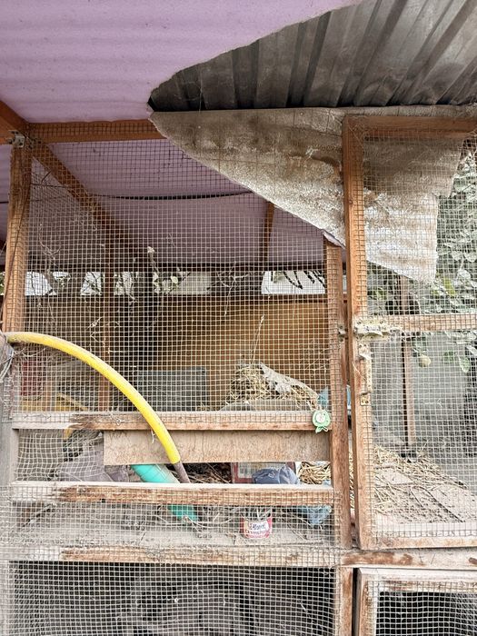 Tovuqlarga 2 etajli katakxona
