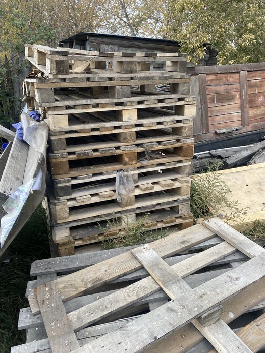 Паддон дерево продажа