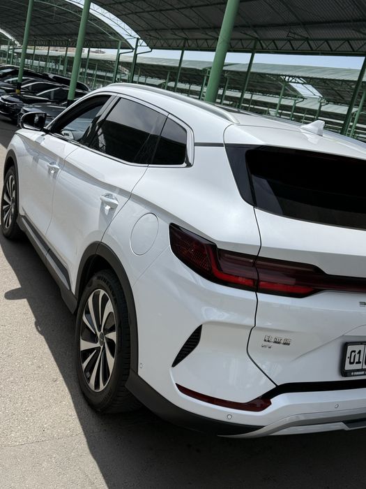 Byd chempion tokli 2023 yil rangi oq bita ewida petno