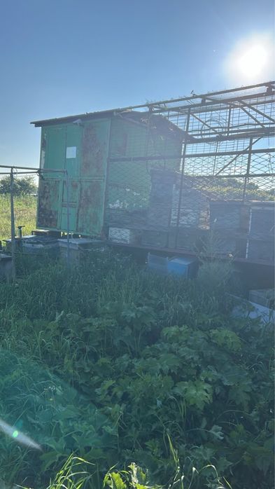 Продам пасеку , пчел , улеи , будка