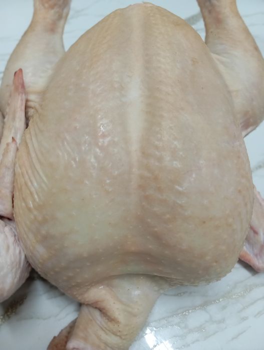 Мясо домашнего бройлера