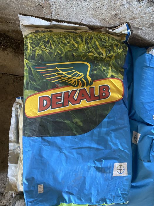 Семена кукурузы Dekalb