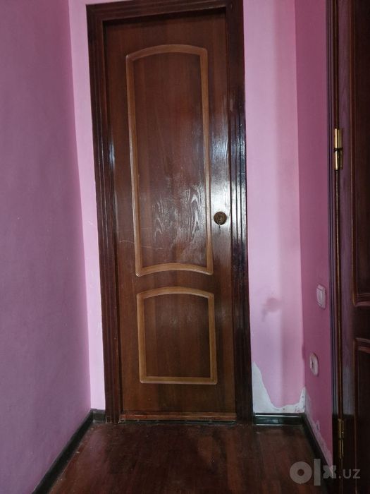 Дверь эшик 208x70