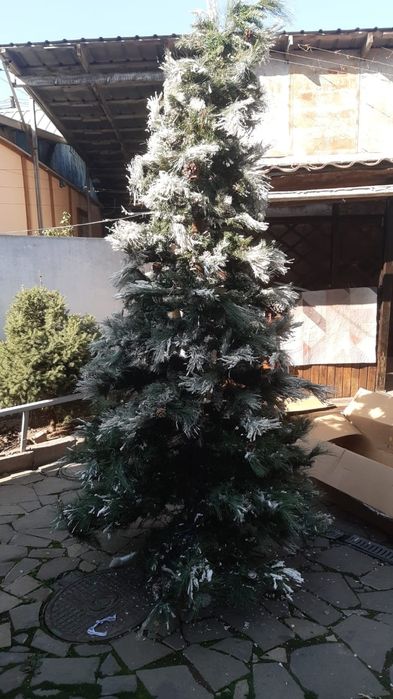 заснеженная ёлка