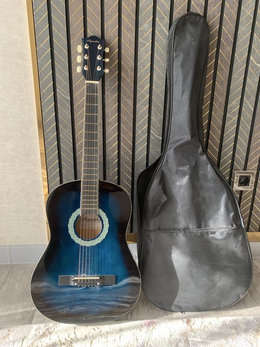 Акустическая гитара agnetha