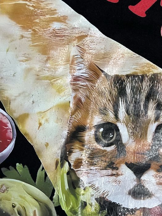 футболка с кото-буррито
