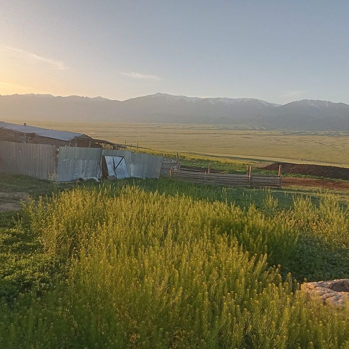 Крестьянской хозяиство