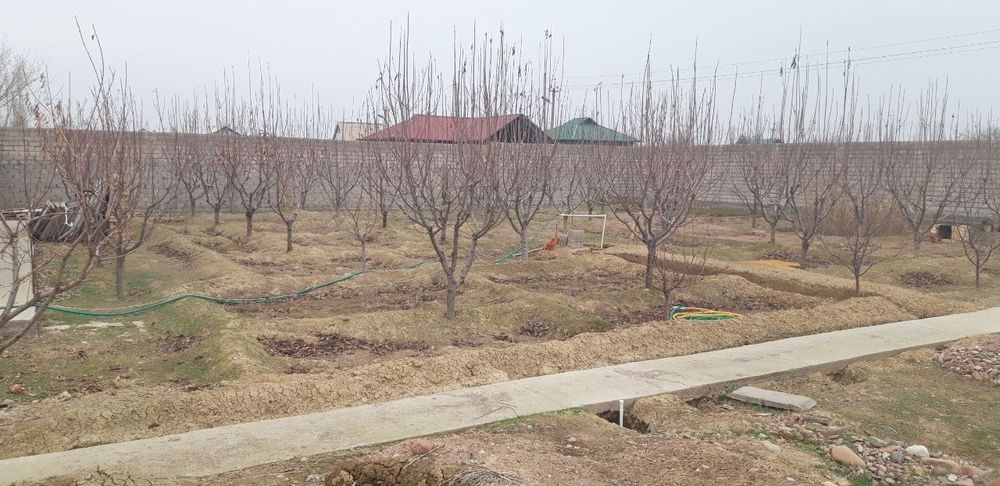 Продается дача в 24 сот