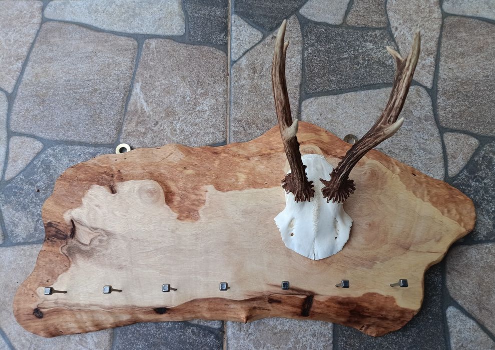 Стойка(закачалка) за ключове.Рога.Трофей