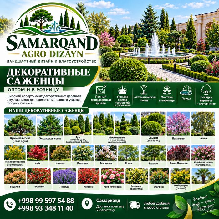 Манзарали кучатлар Узбекистон буйлаб йетказиб бераимиз.