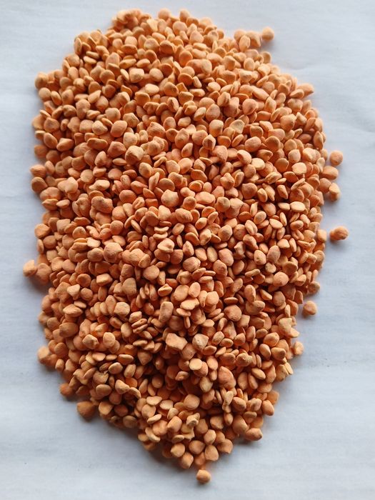 Пипер   турска  капия