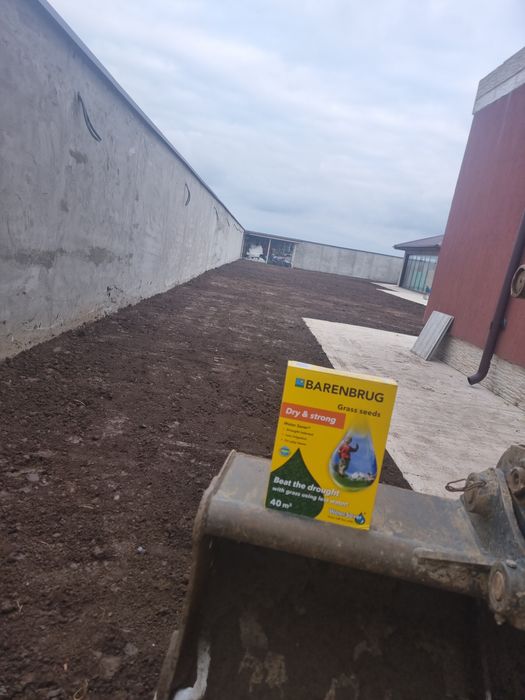 Amenajari Gradini, Insamantare cu gazon ,Gazon artificial ,Gazon rulou