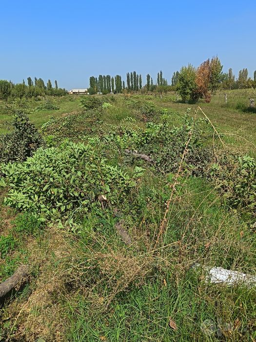 O'tinlar sotiladi