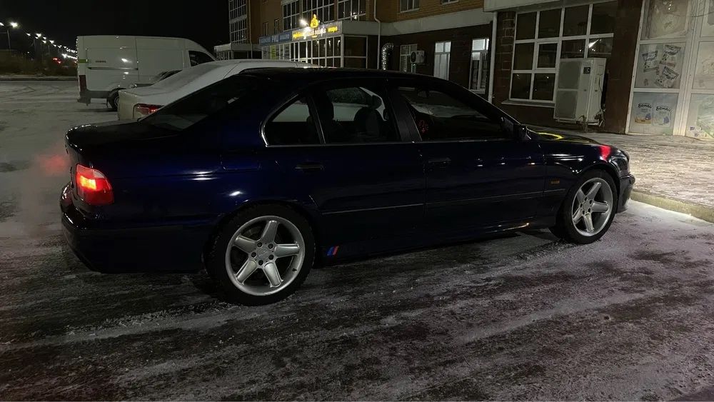 Schnitzer type 2 r17