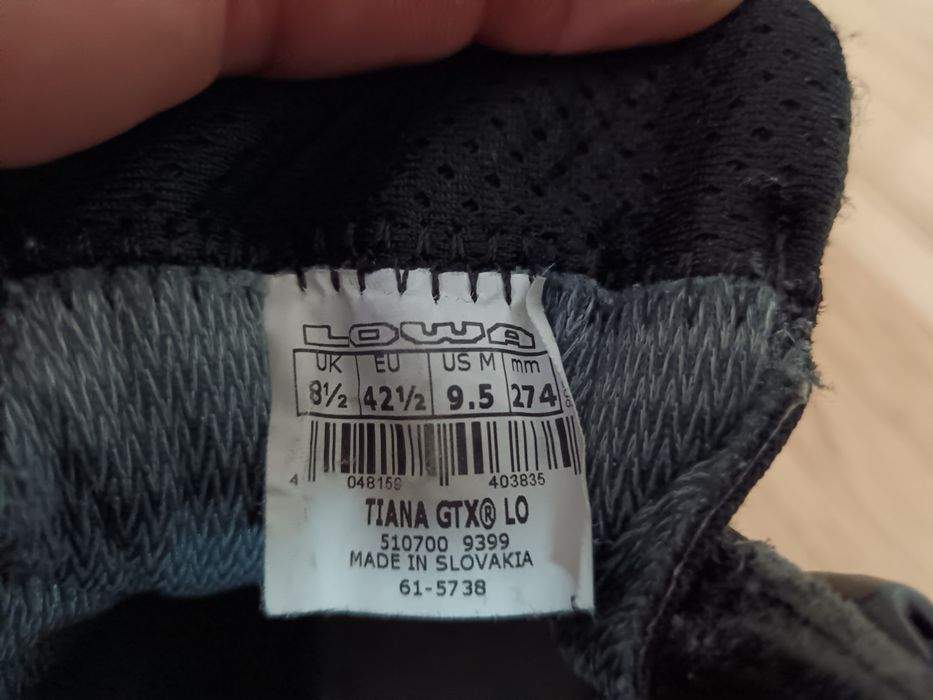 LOWA Renegade Evo GTX Lo