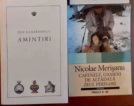 Proza/memorii romani/straini: Coposu Johnny Raducanu Doina Rusti etc