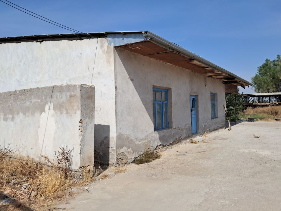 Мол ферма сотилади