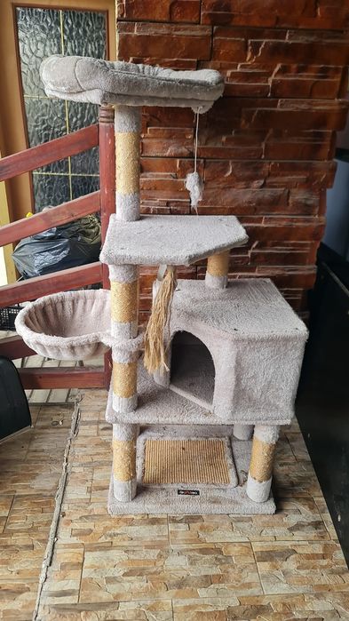 Ansamblu pentru pisici