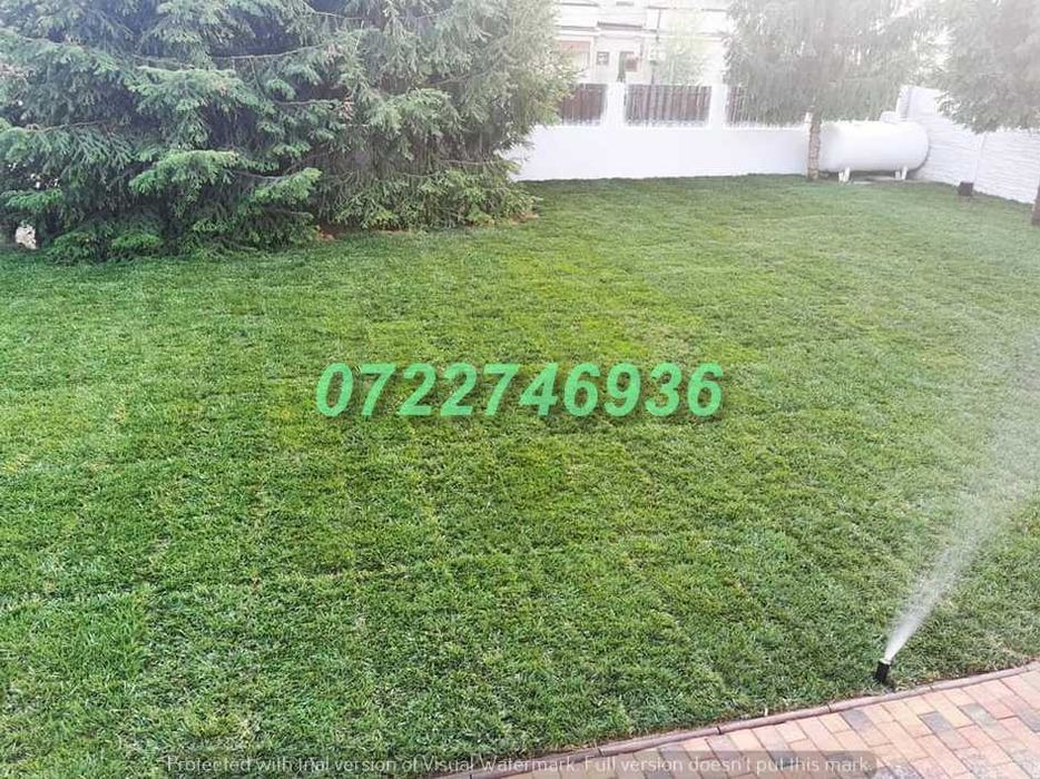 Gazon Natural pentru Grădini și Terenuri Rezidențiale