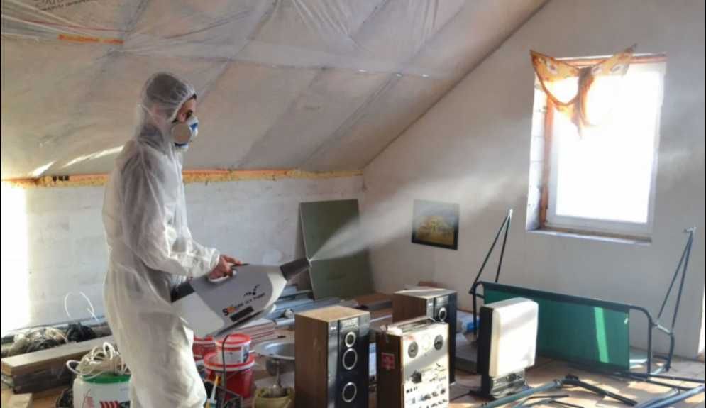 Dezinfeksiya Дезинфекция Уничтожение крыс тараканов клопов клещей klop