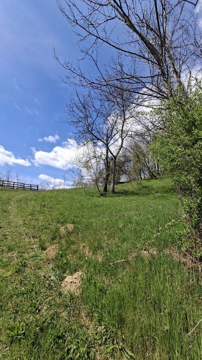 Teren Valea laşului - Strada Principală (DN73C) - PUZ Aprobat - Zonă Liniştită