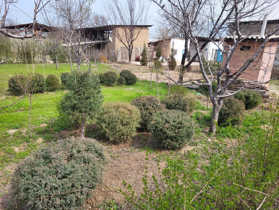 Кошет сатылады  ёлки сатылады