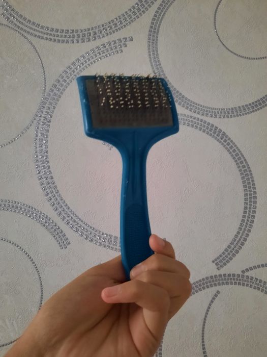 Кот отдам бесплатно