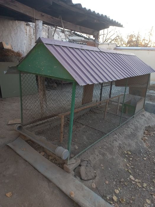 Товук катаклар сотилади