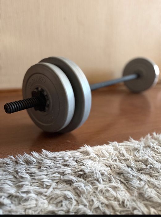 штанга + диски.