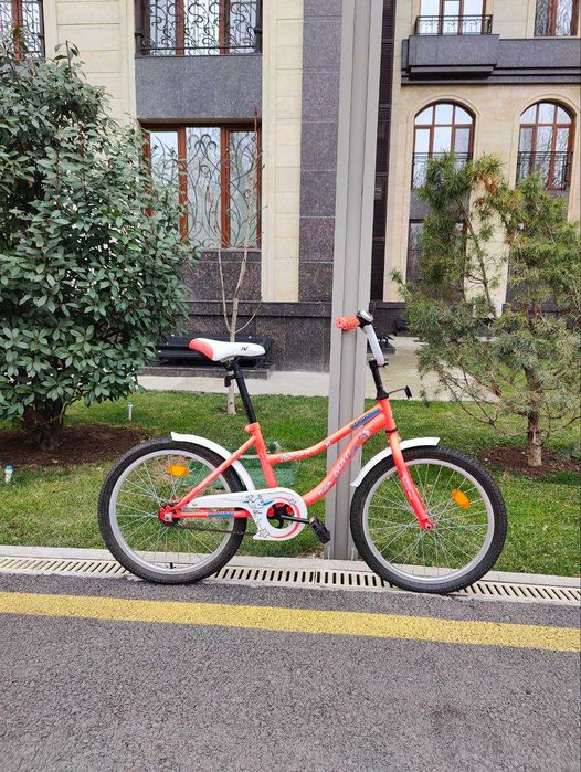 Детский велосипед (6-9 лет, диаметр 20)