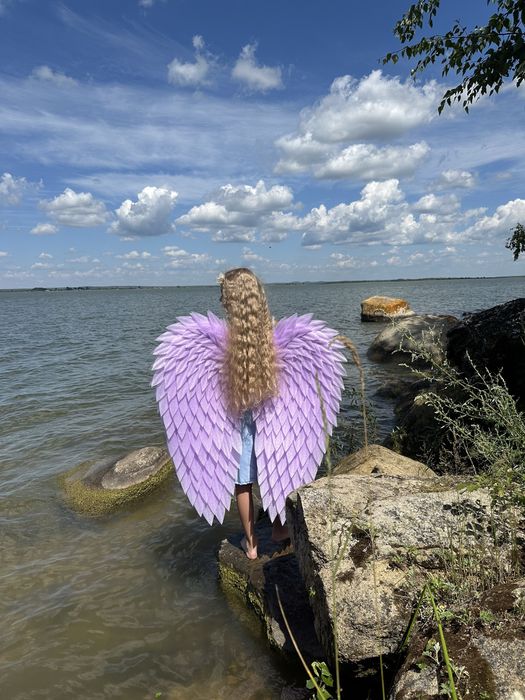 Крылья светящиеся