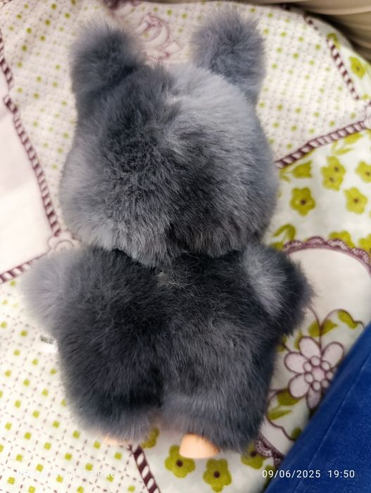 Секретная лабуба