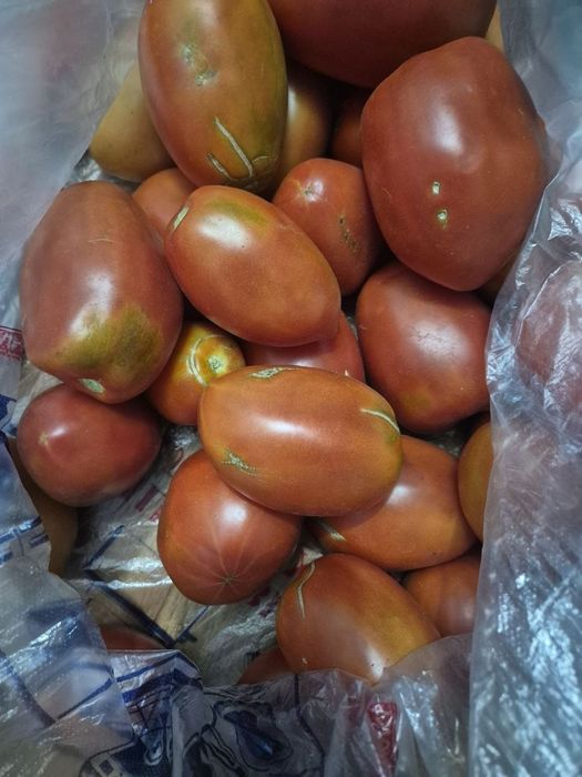 Продам огурцы ,помидоры домашние