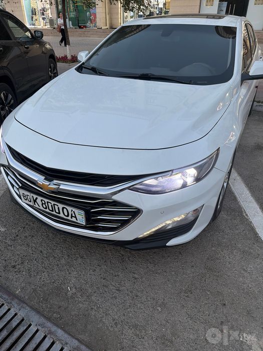 Malibu 2.  .1.5 ideal kraska radnoy