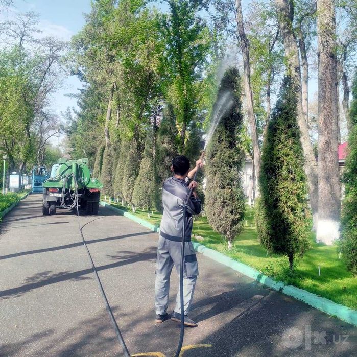 Лечение, обработка деревьев против вредителей и болезней