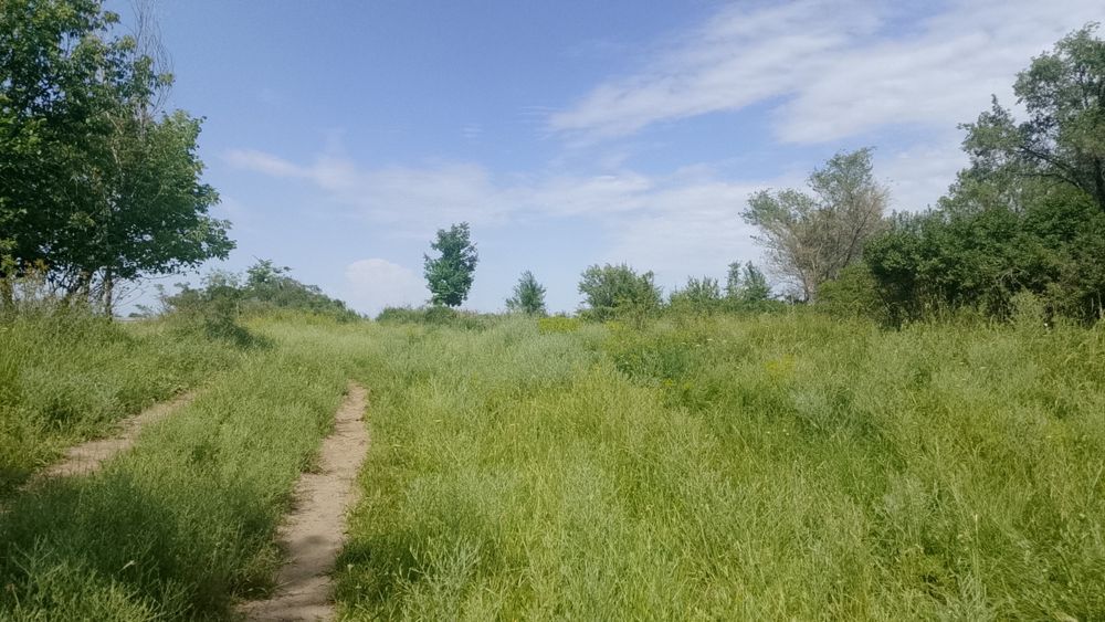 Продам земля поселок белбулак