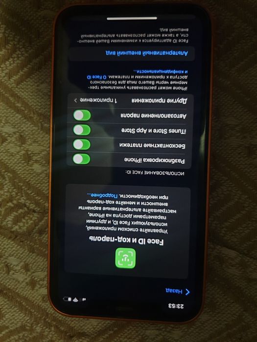 iPhone Xr в корпусе 17 Pro 256GB