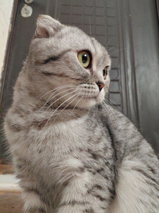 Девочка очень милай