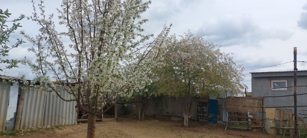 Продаются часный дом