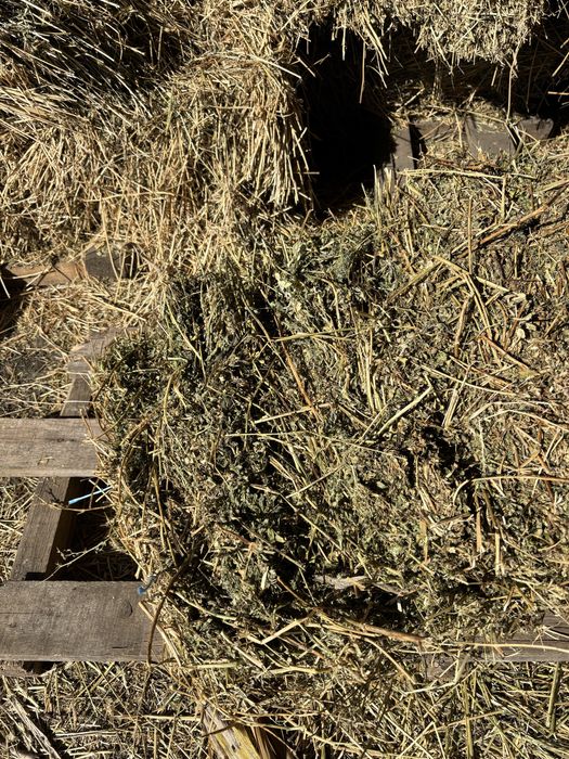 Vând baloți lucernă și fân. Detalii la telefon