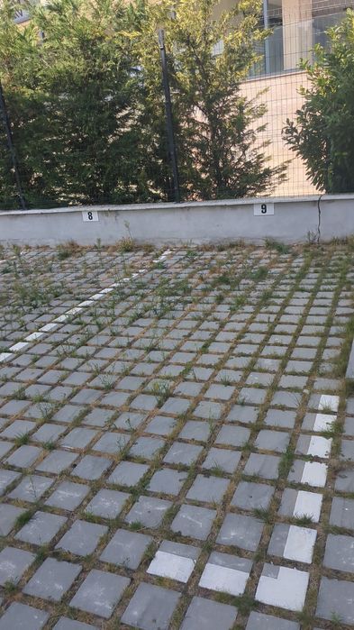 Дава се под наем Гараж / Паркомясто в к.к. Св.Св. Константин и Елена - 12 кв.м за 50 € - Снимка #1