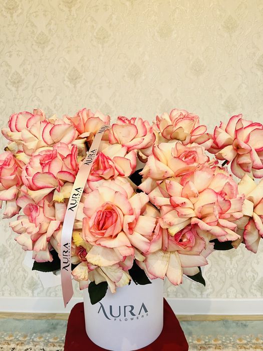 Цветы красивая 2500