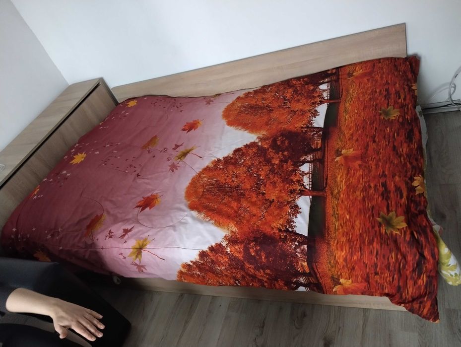 Приста 1,20/2метра+ракла